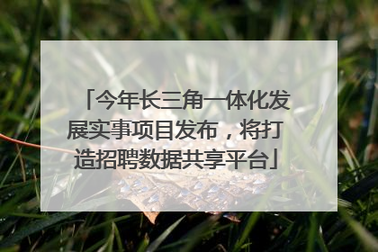 今年长三角一体化发展实事项目发布，将打造招聘数据共享平台