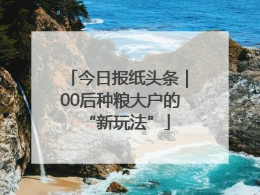 今日报纸头条｜00后种粮大户的“新玩法”