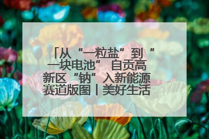 从“一粒盐”到“一块电池” 自贡高新区“钠”入新能源赛道版图丨美好生活有“盐”味