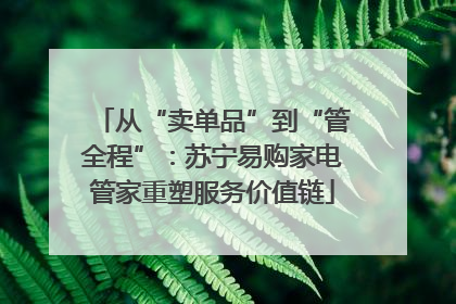 从“卖单品”到“管全程”：苏宁易购家电管家重塑服务价值链
