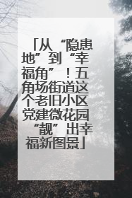 从“隐患地”到“幸福角”！五角场街道这个老旧小区党建微花园“靓”出幸福新图景