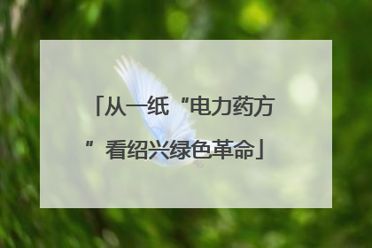 从一纸“电力药方”看绍兴绿色革命