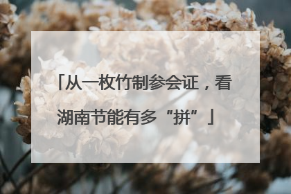 从一枚竹制参会证，看湖南节能有多“拼”
