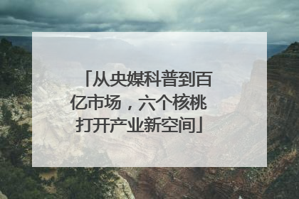 从央媒科普到百亿市场，六个核桃打开产业新空间