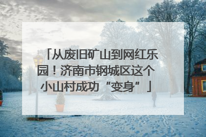 从废旧矿山到网红乐园！济南市钢城区这个小山村成功“变身”