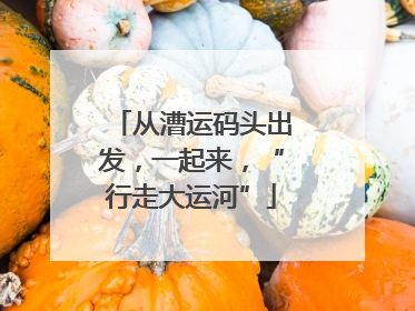 从漕运码头出发，一起来，“行走大运河”