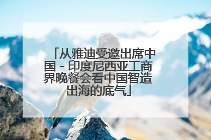 从雅迪受邀出席中国－印度尼西亚工商界晚餐会看中国智造出海的底气