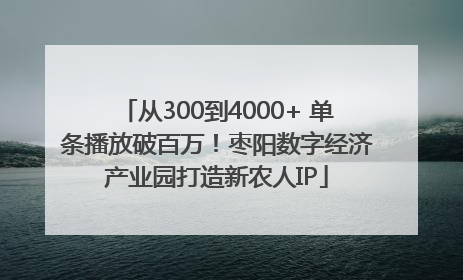 从300到4000+ 单条播放破百万！枣阳数字经济产业园打造新农人IP