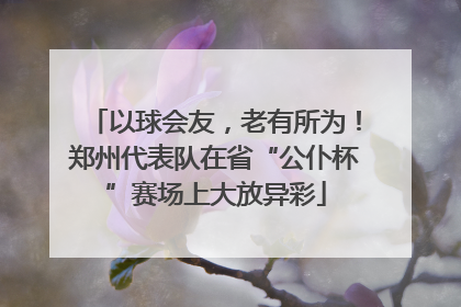 以球会友，老有所为！郑州代表队在省“公仆杯”赛场上大放异彩