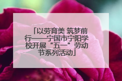 以劳育美 筑梦前行——宁国市宁阳学校开展“五一”劳动节系列活动