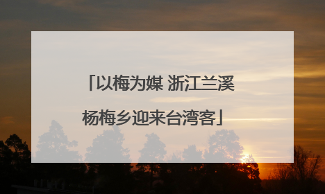 以梅为媒 浙江兰溪杨梅乡迎来台湾客