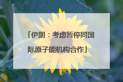 伊朗：考虑暂停同国际原子能机构合作