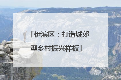 伊滨区：打造城郊型乡村振兴样板