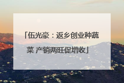 伍光豪：返乡创业种蔬菜 产销两旺促增收