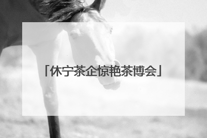 休宁茶企惊艳茶博会