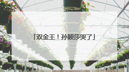 双金王！孙颖莎哭了