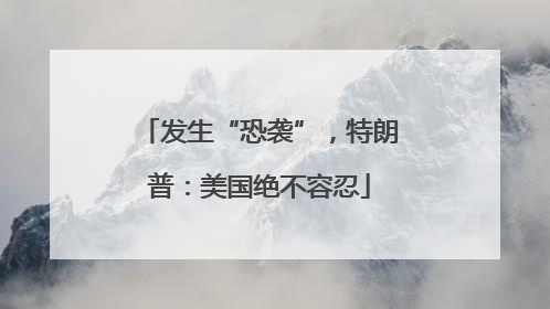 发生“恐袭”，特朗普：美国绝不容忍