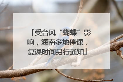 受台风“蝴蝶”影响，海南多地停课，复课时间另行通知