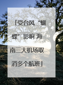 受台风“蝴蝶”影响 海南三大机场取消多个航班