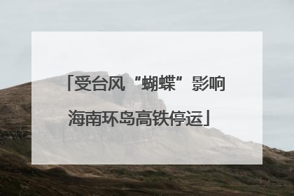 受台风“蝴蝶”影响 海南环岛高铁停运