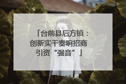 台前县后方镇：创新实干奏响招商引资“强音”