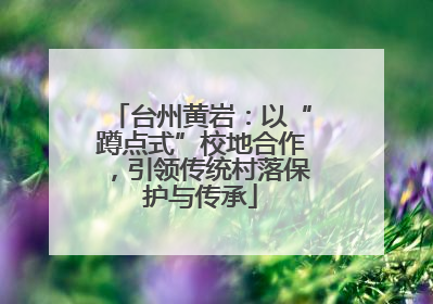 台州黄岩：以“蹲点式”校地合作，引领传统村落保护与传承