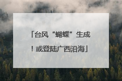 台风“蝴蝶”生成！或登陆广西沿海