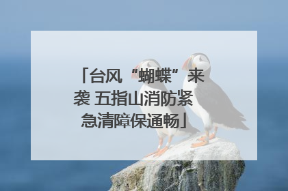 台风“蝴蝶”来袭 五指山消防紧急清障保通畅