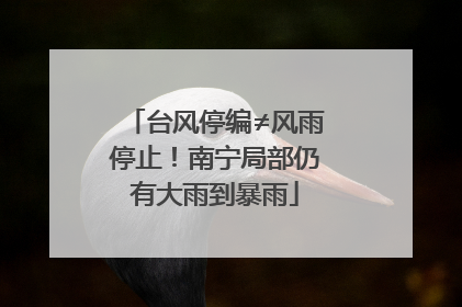 台风停编≠风雨停止！南宁局部仍有大雨到暴雨