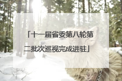 十一届省委第八轮第二批次巡视完成进驻