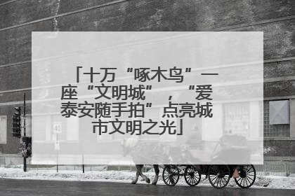 十万“啄木鸟”一座“文明城”，“爱泰安随手拍”点亮城市文明之光