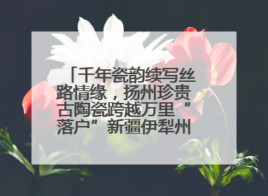 千年瓷韵续写丝路情缘，扬州珍贵古陶瓷跨越万里“落户”新疆伊犁州博物馆