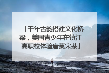 千年古韵搭建文化桥梁，美国青少年在镇江高职校体验唐菓宋茶