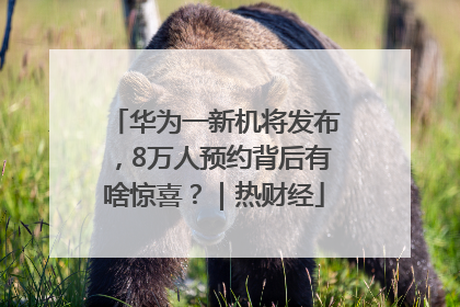 华为一新机将发布，8万人预约背后有啥惊喜？｜热财经