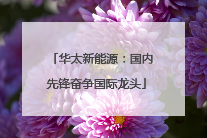 华太新能源：国内先锋奋争国际龙头