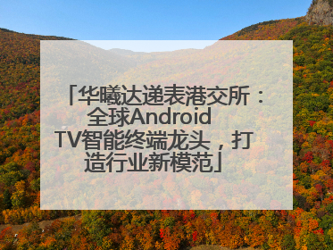 华曦达递表港交所：全球Android TV智能终端龙头，打造行业新模范