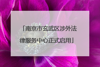 南京市玄武区涉外法律服务中心正式启用