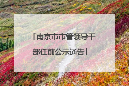 南京市市管领导干部任前公示通告