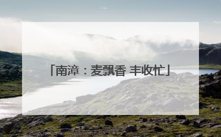 南漳：麦飘香 丰收忙