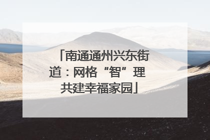 南通通州兴东街道：网格“智”理 共建幸福家园