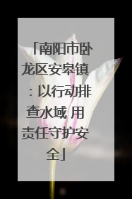 南阳市卧龙区安皋镇：以行动排查水域 用责任守护安全