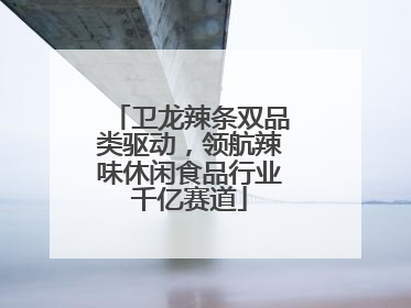 卫龙辣条双品类驱动，领航辣味休闲食品行业千亿赛道