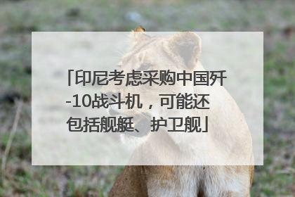 印尼考虑采购中国歼-10战斗机，可能还包括舰艇、护卫舰