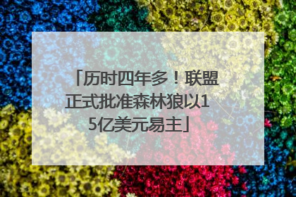 历时四年多！联盟正式批准森林狼以15亿美元易主