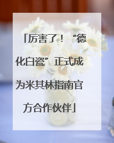 厉害了！“德化白瓷”正式成为米其林指南官方合作伙伴