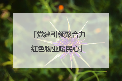 党建引领聚合力 红色物业暖民心