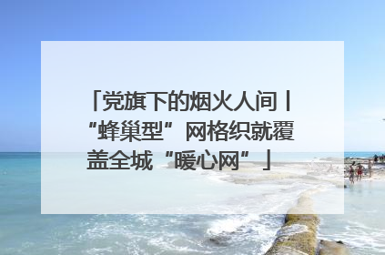 党旗下的烟火人间丨“蜂巢型”网格织就覆盖全城“暖心网”
