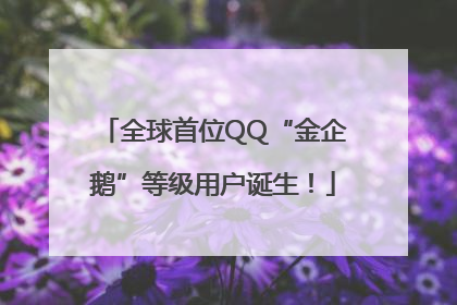 全球首位QQ“金企鹅”等级用户诞生！