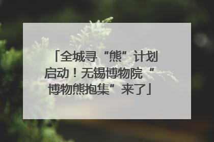 全城寻“熊”计划启动！无锡博物院“博物熊抱集”来了
