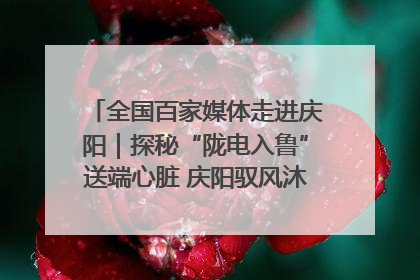 全国百家媒体走进庆阳｜探秘“陇电入鲁”送端心脏 庆阳驭风沐光点亮齐鲁万家